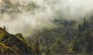 4 Bölümden Oluşan ‘Vahşi Karpatlar’,   26 Eylül Cumartesi Saat 20.00’de Art Arda Tüm Bölümleriyle National Geographic WILD Ekranlarında!
