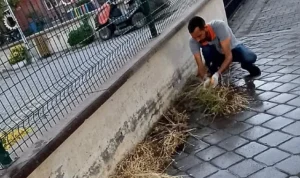 Burhaniye’de Mazgal Temizliği Çalışmaları Titizlikle Sürüyor