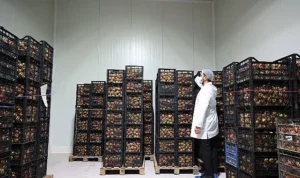 Büyükşehir’den Antalya’nın yerel üretimine can suyu olacak tesis