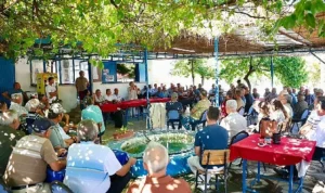 Didim Belediye Başkanı Hatice Gençay, zeytin üreticileriyle bir araya geldi