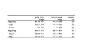 Hayvancılık İstatistikleri, Haziran 2026