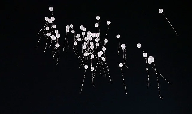 Gökyüzüne pembe balon bıraktılar